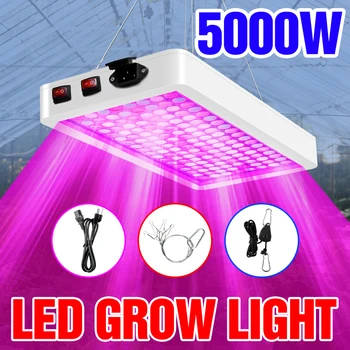 4000W 5000W ספקטרום מלא צמח צמיחה הנורה מקורה הידרופוני פיטו מנורת LED 220V צמח צמיחה אור זרע פרח תאורה