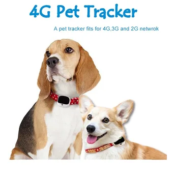 4G הכלב המעקב אחר המכשיר עמיד למים IP67 sms כושר פעילות gps Pet tracker RYDV43