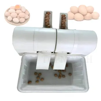 רב-תכליתי במים ממוחזרים טרי ביצה ניקוי מכונת כביסה אוטומטית מלוכלך ביצת ברווז כביסה